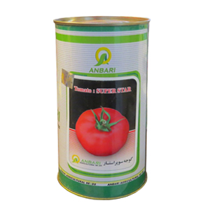 بذر گوجه سوپر استار عنبري ایران